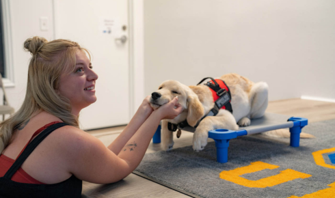 dog training in Fountain Hills