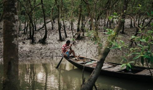 Sundarban trip